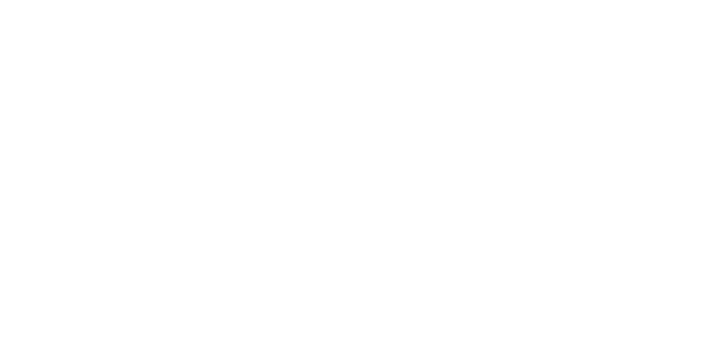 Logo Insem Spa